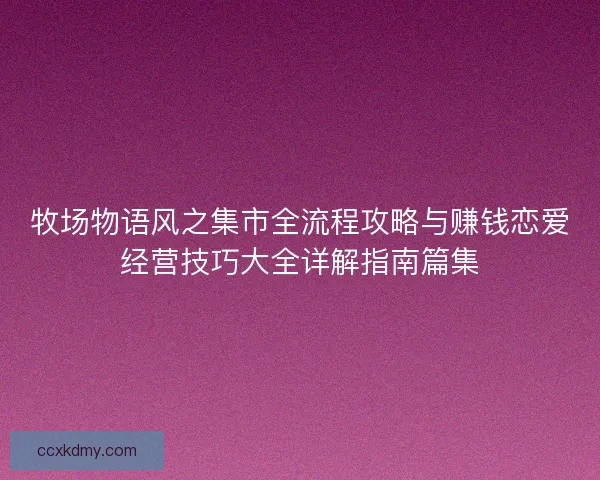 牧场物语风之集市全流程攻略与赚钱恋爱经营技巧大全详解指南篇集