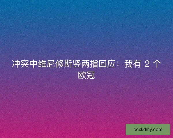 冲突中维尼修斯竖两指回应：我有 2 个欧冠